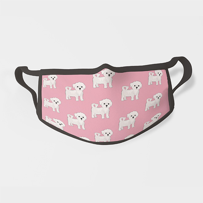 600083-maltezer-korthaar-roos